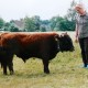 Hylleholtgards Joker, geboren: 12.5.2001 auf Bornholm, DK. Mutter: Igelsögard Molly, Vater: Lille John